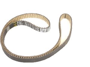 ACDelco Engine Timing Belt 