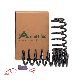 Arnott Air Spring to Coil Spring Conversion Kit  Rear 