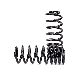 Arnott Air Spring to Coil Spring Conversion Kit  Rear 