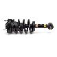 Arnott Suspension Strut and Coil Spring Assembly  Front 