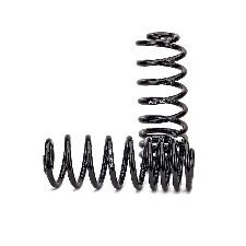 Arnott Air Spring to Coil Spring Conversion Kit  Rear 