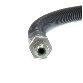 Centric Brake Hydraulic Hose  Rear 