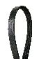 Continental Serpentine Belt 