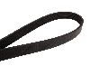 Continental Serpentine Belt  Accessory Drive 