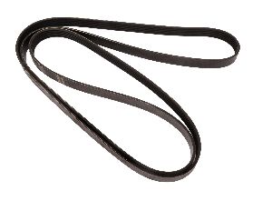 Continental Serpentine Belt 