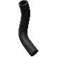 Dayco Radiator Coolant Hose  Lower 