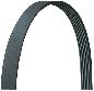 Dayco Serpentine Belt  Main Drive 