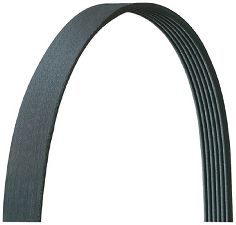 Dayco Serpentine Belt  Main Drive 