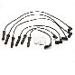 Delphi Spark Plug Wire Set 