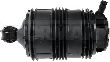 Dorman Air Suspension Spring  Rear Left 