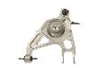 Dorman Suspension Control Arm and Ball Joint Assembly  Rear Left Lower 