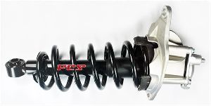 FCS Struts Suspension Strut and Coil Spring Assembly  Rear Right 