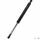 Genuine Trunk Lid Lift Support  Rear 