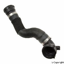 Genuine Radiator Coolant Hose  Lower - Main Radiator 