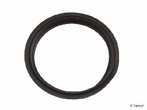 Genuine Fuel Pump Seal 