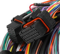 Holley Engine Wiring Harness 