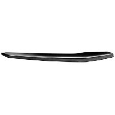 LKQ Bumper Cover Grille Molding  Front Right 