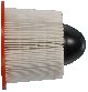 Mahle Air Filter 