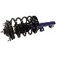 Monroe Suspension Strut and Coil Spring Assembly  Front 