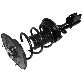 Monroe Suspension Strut and Coil Spring Assembly  Rear Left 