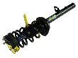 Moog Suspension Strut and Coil Spring Assembly  Rear 