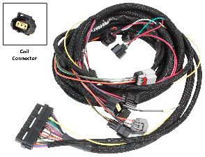 MSD Ignition Harness 