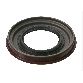 National Bearing Automatic Transmission Oil Pump Seal  Front 