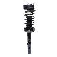 PRT Suspension Strut and Coil Spring Assembly  Rear 