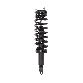 PRT Suspension Strut and Coil Spring Assembly  Front 