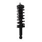 PRT Suspension Strut and Coil Spring Assembly  Rear 