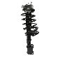 PRT Suspension Strut and Coil Spring Assembly  Front 