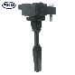 Skyward  Ignition Coil 