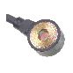 Standard Ignition Ignition Knock (Detonation) Sensor 