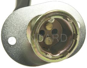 Standard Ignition Tail Lamp Socket 