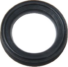 Stone Fuel Injector Seal  Lower 