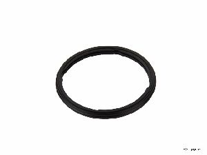Stone Engine Coolant Thermostat Seal 