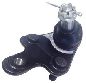 Suspensia Suspension Ball Joint  Front Right 