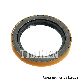 Timken Differential Pinion Seal  Rear 