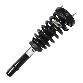 Unity Suspension Strut and Coil Spring Assembly  Front 