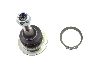 Vaico Suspension Ball Joint  Front Upper 