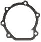 Victor Gaskets Engine Water Pump Backing Plate Gasket 