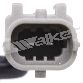 Walker Products Ignition Knock (Detonation) Sensor 