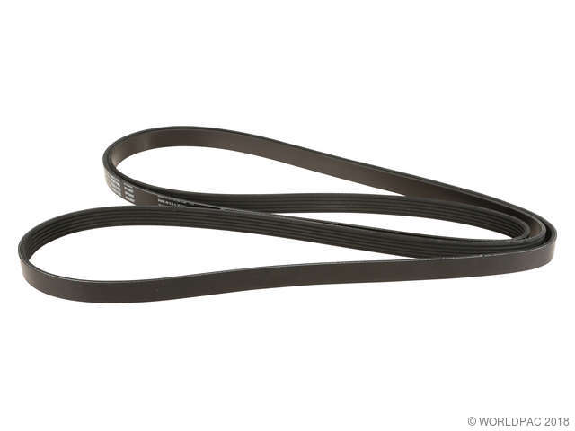 Gates Accessory Drive Belt  Primary 