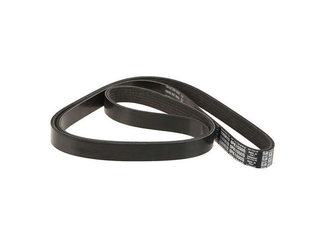 Dayco Accessory Drive Belt  Primary 