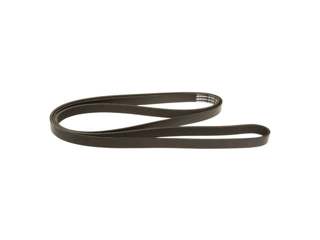 ACDelco Accessory Drive Belt  Primary 