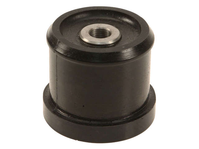 AST Differential Mount  Rear 