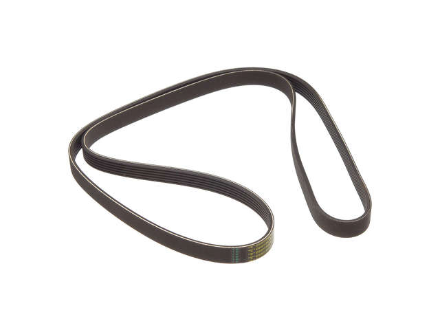 Dayco Accessory Drive Belt  Primary 