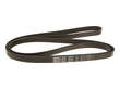 ACDelco Accessory Drive Belt  Primary 