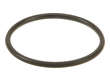 Genuine Exhaust Pipe to Manifold Gasket 