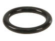 Genuine Fuel Injector O-Ring  Lower 